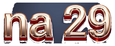 na 29 logo
